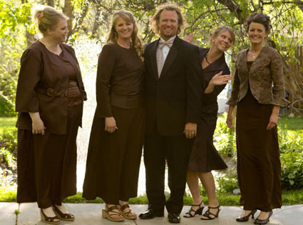 Sister Wives Sister Wives
